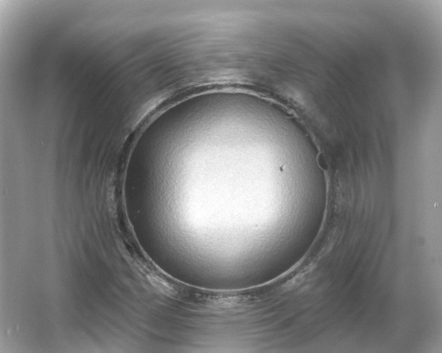 X0000066091162200603131156