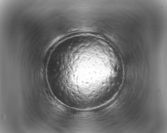 X0000066091163200603131156