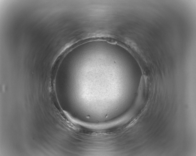 X0000066091165200603131156