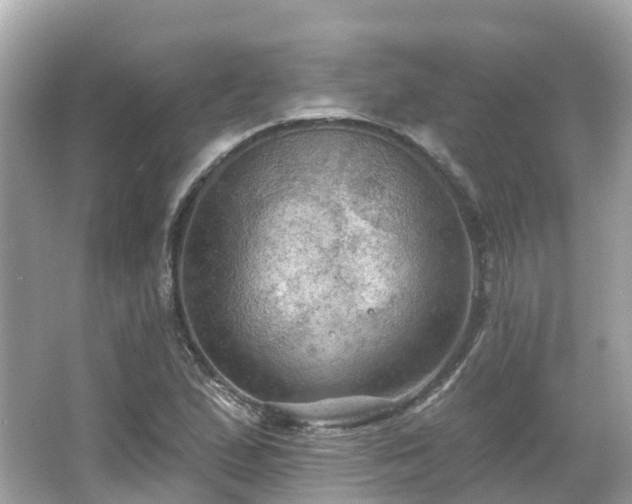 X0000066091167200603131156