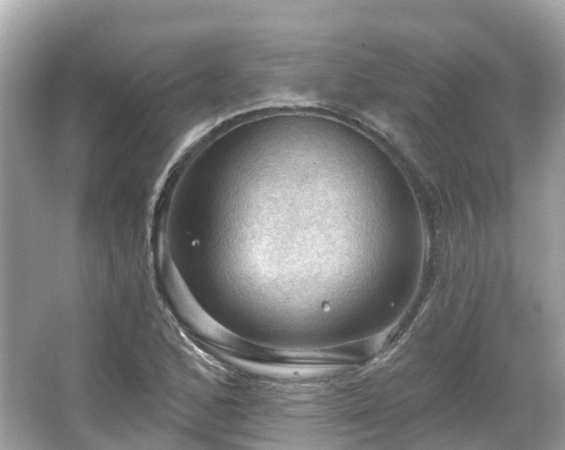 X0000066091168200603131156