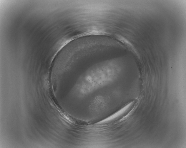 X0000066091170200603131156