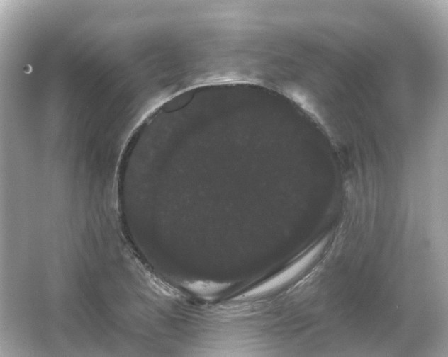 X0000066091173200603131156