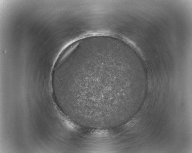 X0000066091174200603131156