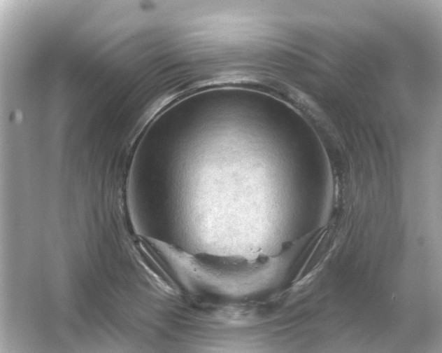 X0000066091177200603131156