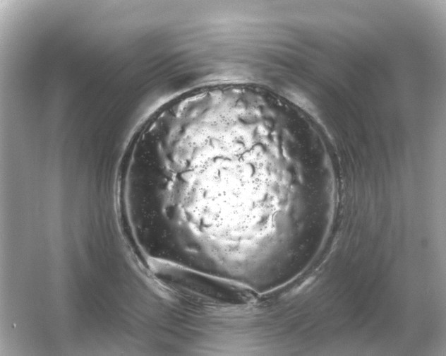 X0000066091179200603131156