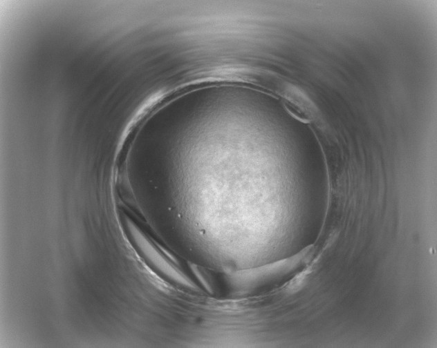 X0000066091180200603131156