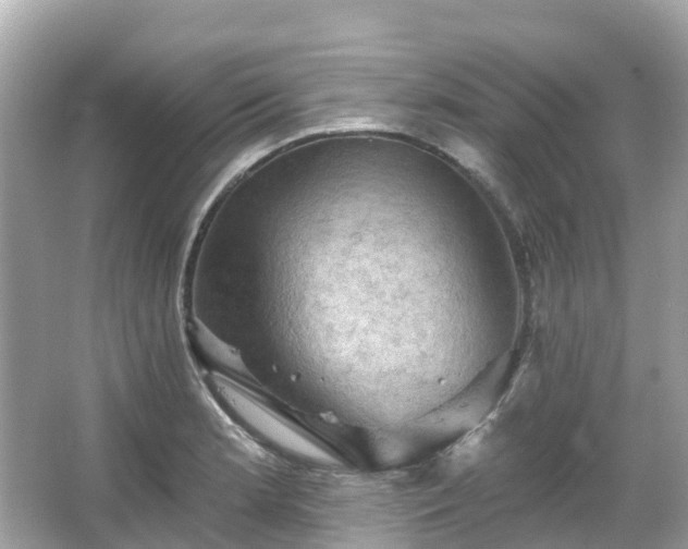 X0000066091181200603131156