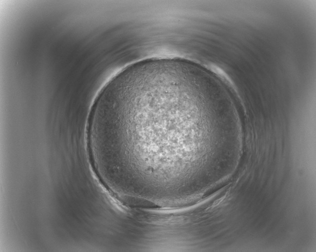 X0000066091183200603131156