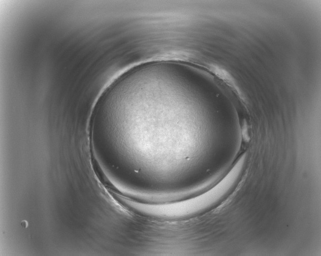 X0000066091184200603131156