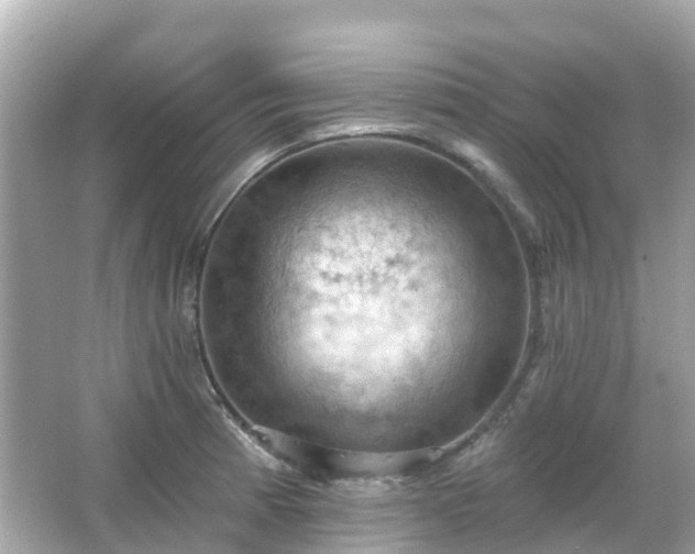 X0000066091185200603131156