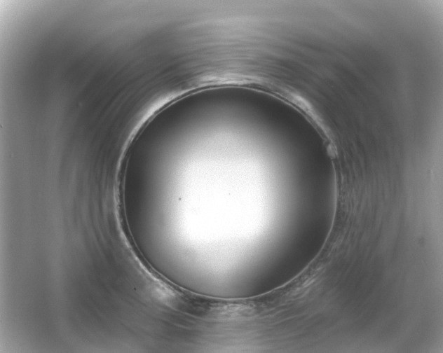 X0000066091187200603131156