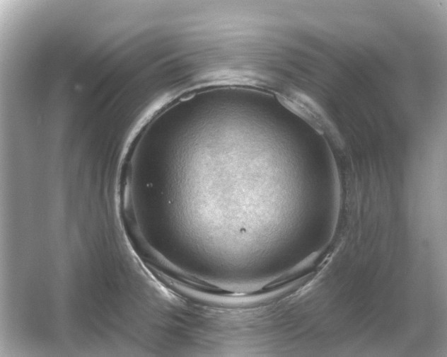 X0000066091188200603131156