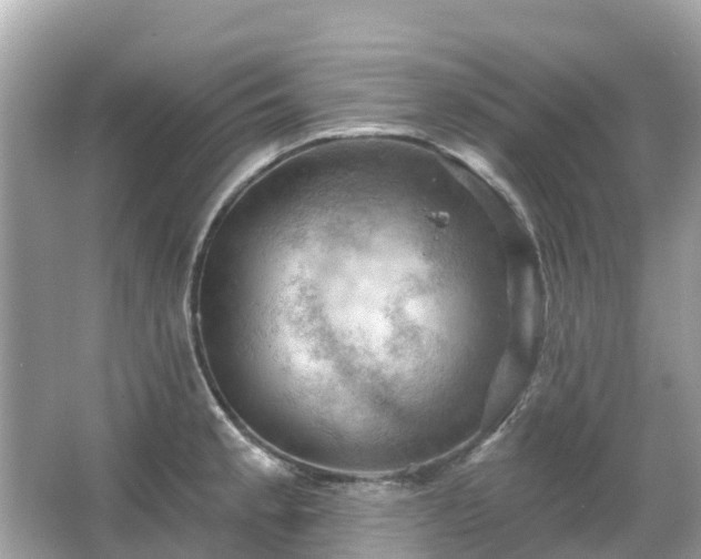 X0000066091189200603131156