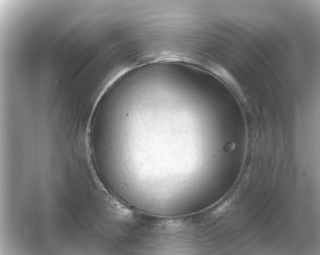 X0000066091190200603131156