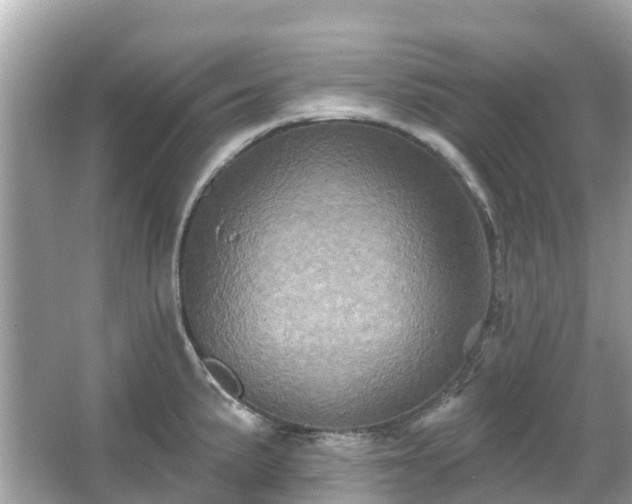 X0000066091191200603131156