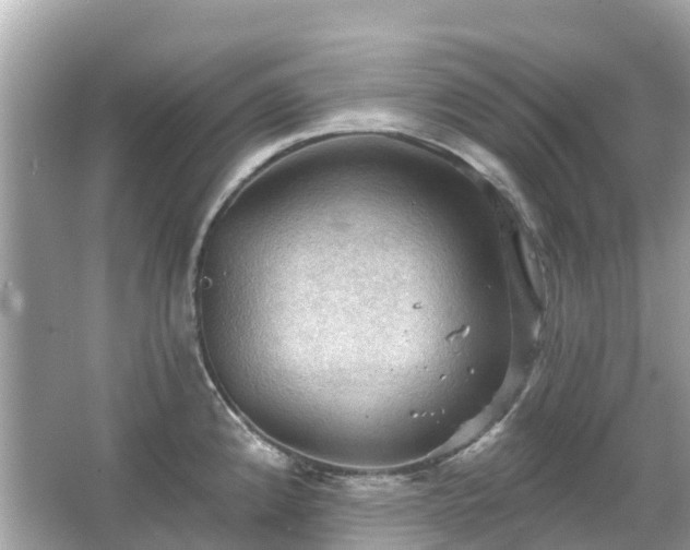 X0000066091192200603131156