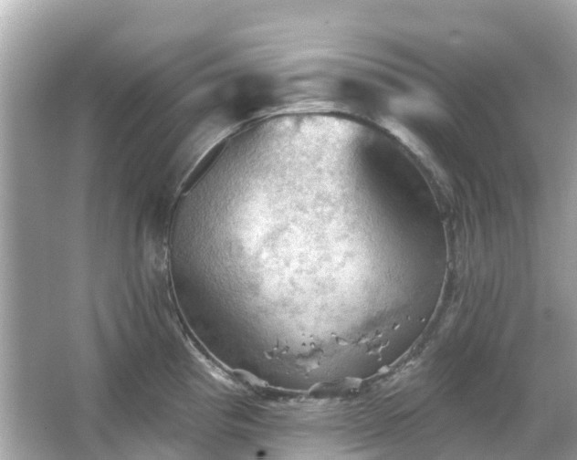 X0000066091193200603131156