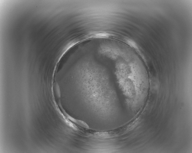 X0000066091194200603131156