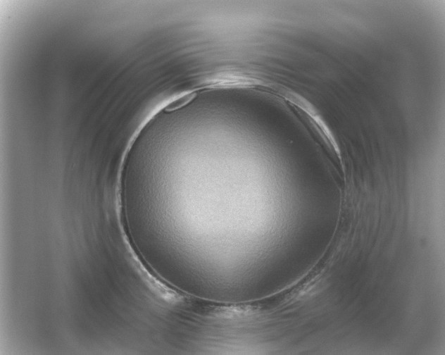 X0000066091195200603131156