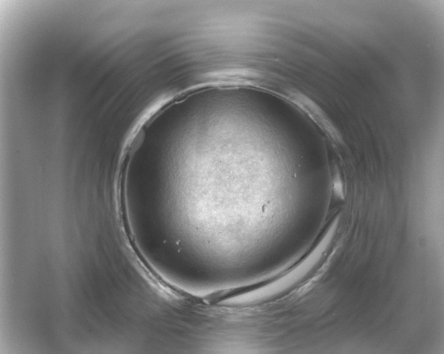 X0000066091196200603131155