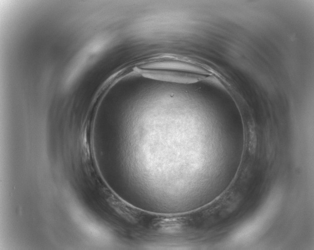 X0000066091198200603131155