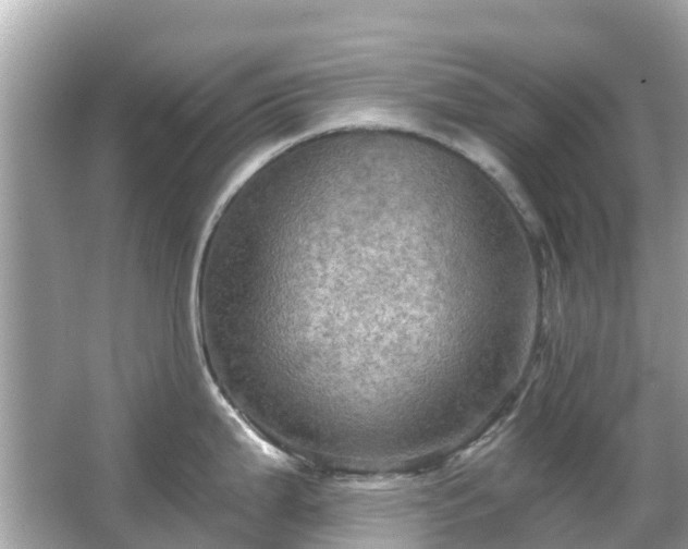 X0000066091199200603131155