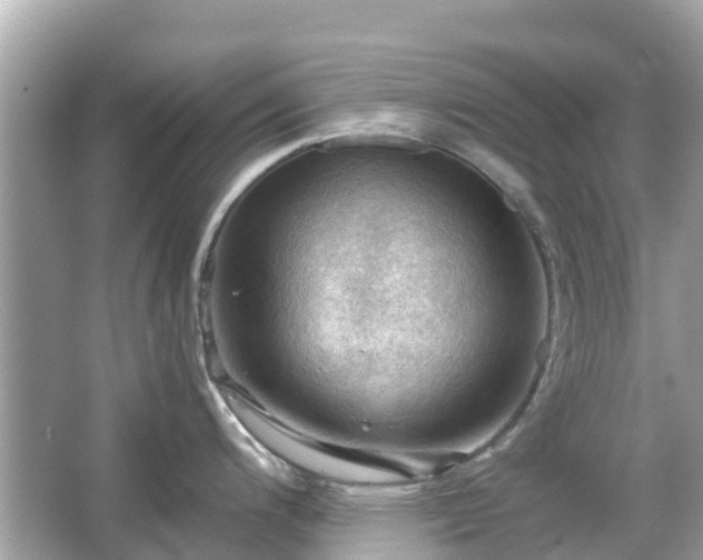 X0000066091200200603131155