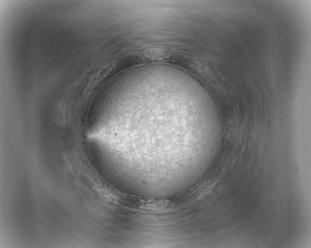 X0000066091201200603131155