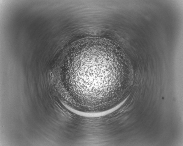 X0000066091202200603131155