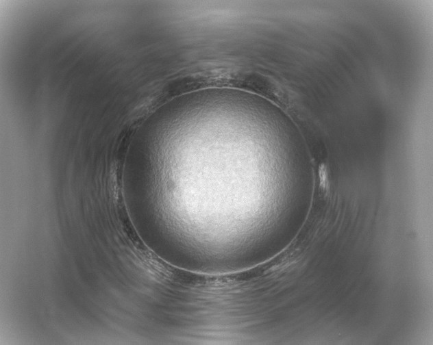 X0000066091203200603131155