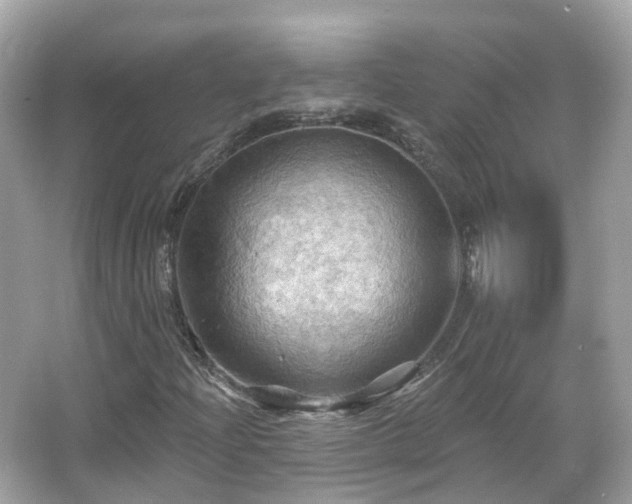 X0000066091204200603131155