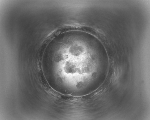 X0000066091205200603131155