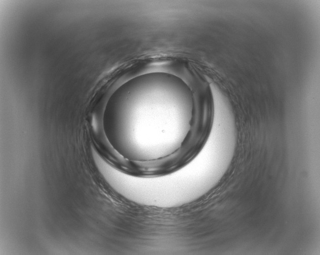 X0000066091206200603131155