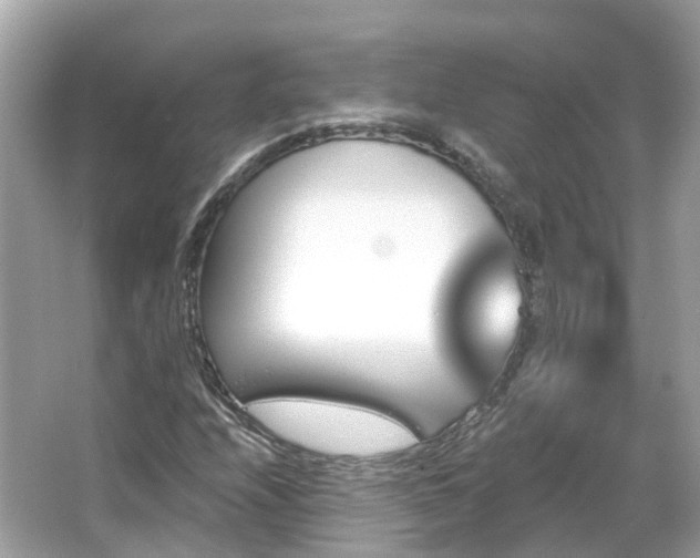 X0000066091208200603131155