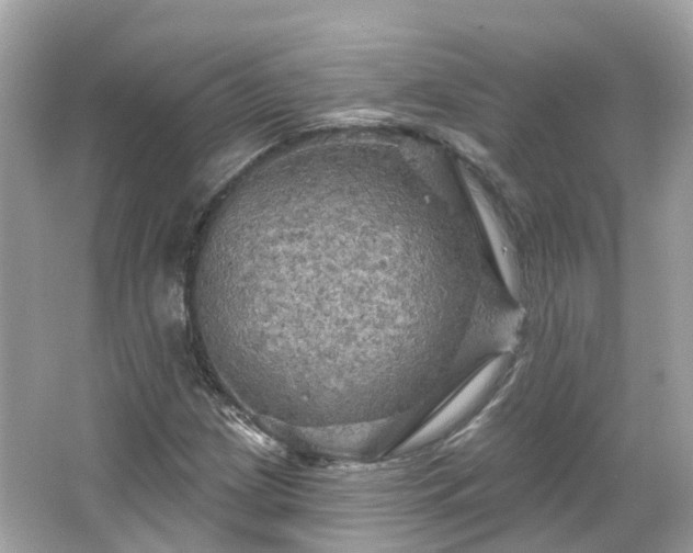 X0000066091209200603131155