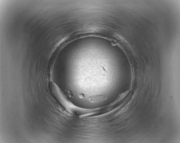 X0000066091210200603131155