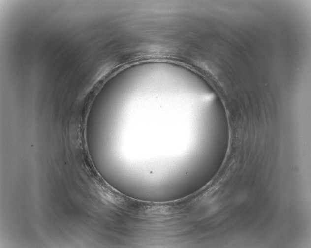 X0000066091211200603131155