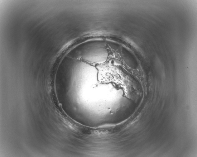 X0000066091213200603131155