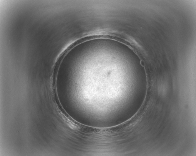 X0000066091216200603131155