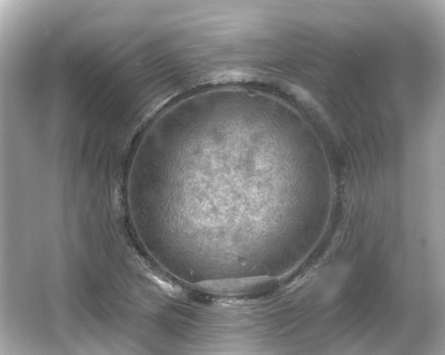 X0000066091217200603131155