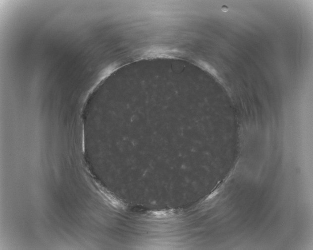 X0000066091219200603131155