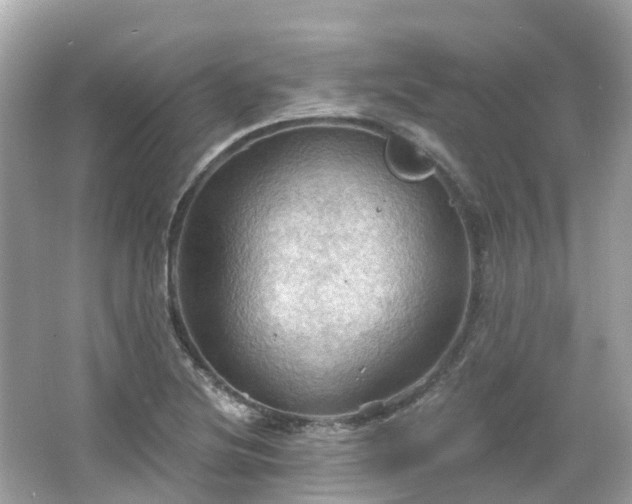 X0000066091220200603131155