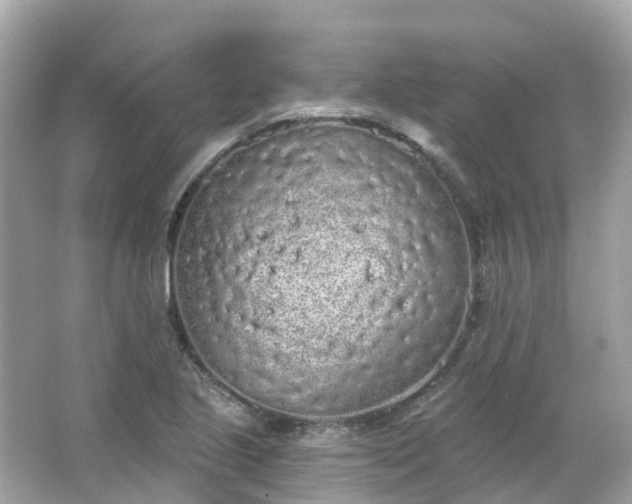 X0000066091221200603131155