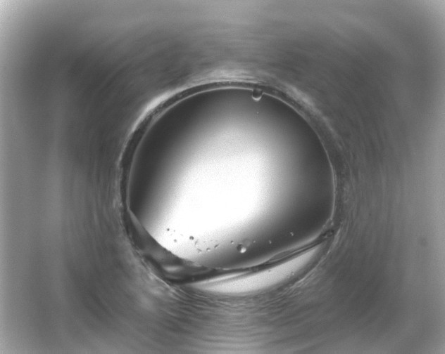 X0000066091222200603131155