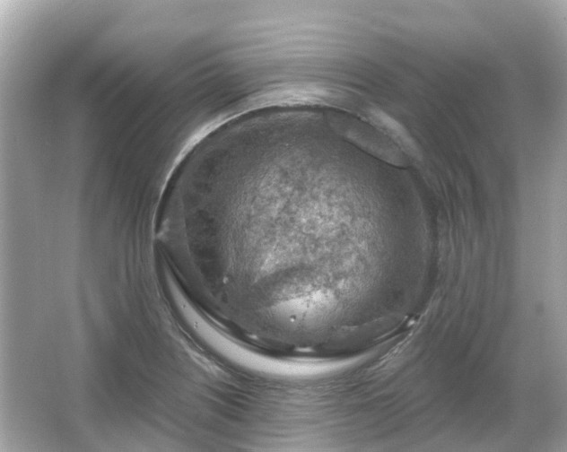 X0000066091226200603131155