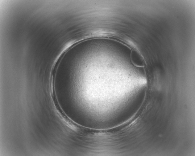 X0000066091227200603131155