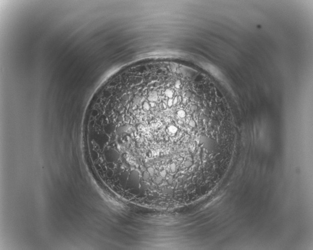 X0000066091229200603131155