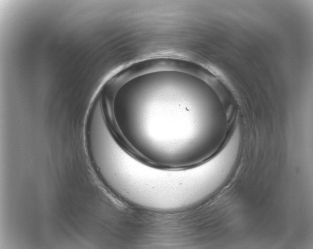 X0000066091230200603131155