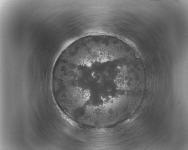 X0000066091231200603131155